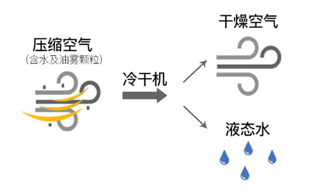 炎炎夏日，来了解冷干机的“冷”知识！